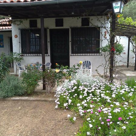 فيلا Persefoni House أفيسوس المظهر الخارجي الصورة