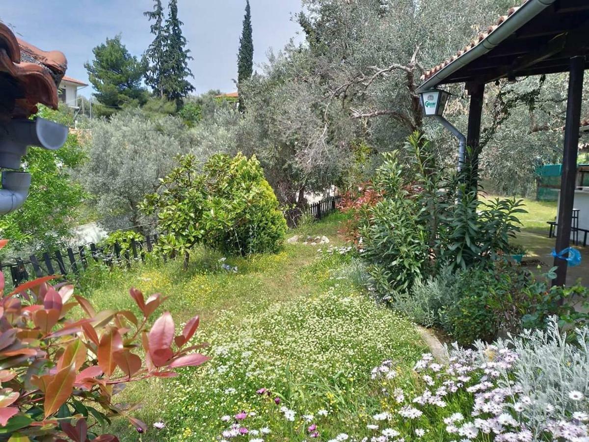 فيلا Persefoni House أفيسوس المظهر الخارجي الصورة